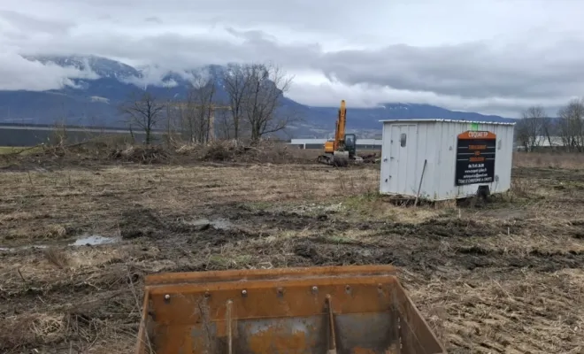 Nettoyage, abattage et dessouchage des arbres 